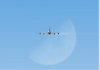 565_Fly_to_the_moon_2.JPG